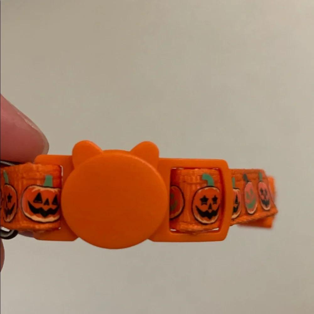 Cat Jack O Lantern Pumpkin Collar Bell Breakaway Latch Orange Black Green